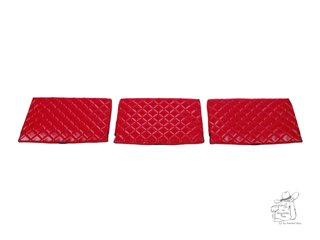 LKW-Zubehör - Gardinen, Sitze, Schmutzfänger, Fußmatten