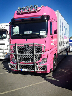 Trux Dachlampenbgel "Top Bar" passend fr Actros MP4+5