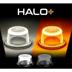 HALO+ Pendelleuchte: Klarglas mit wei�em oder orangenem Licht. Rauchglasoption verf�gbar.