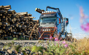 Trux Frontschutzbgel "Highway" passend fr Volvo FH4+5
