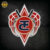 TJ Aufkleber Ronny Ceusters - Flaggen D�nemark