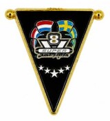 DTS PIN Wimpel Swedish perfection
