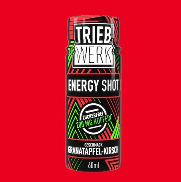 TRIEBWERK Energy Shot